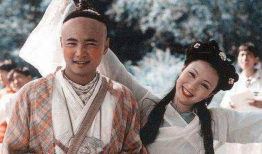 春光灿烂猪八戒电视剧,猪八戒的奇幻冒险之旅